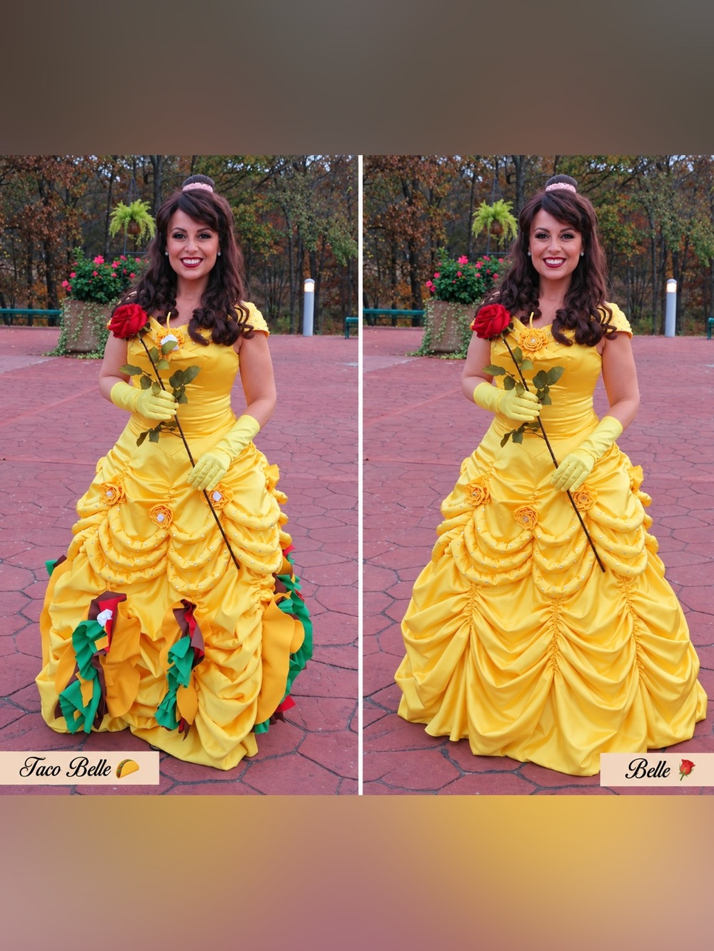 Custom Belle-Inspired Ball Gown Taco Belle Costume